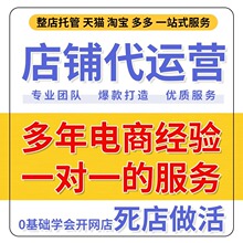 淘宝店铺代运营店铺托管上钻直通车网店代运营标题优化多多斗音