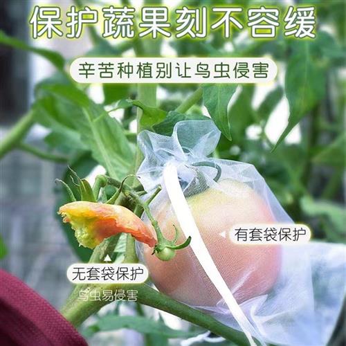 水果套袋防鸟网纱袋瓜果防虫专用袋无花果枇杷葡萄桃子草莓保护袋
