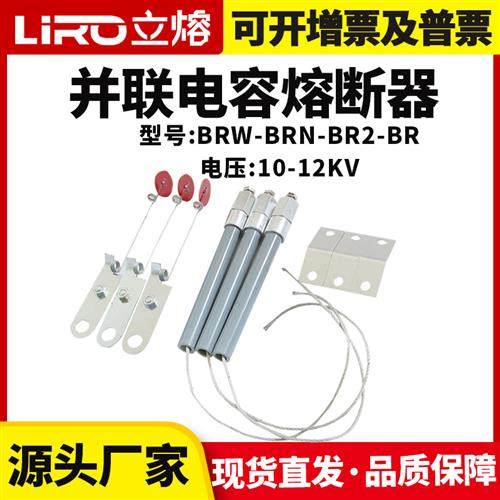 高压并联电容保护器熔断器保险管BR2 BRN BRW10-12KV-20-200A熔丝