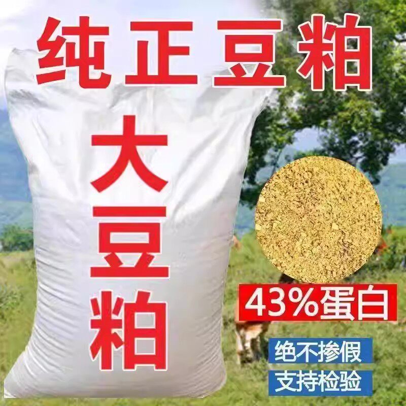 中粮膨化豆粕豆饼43蛋白
