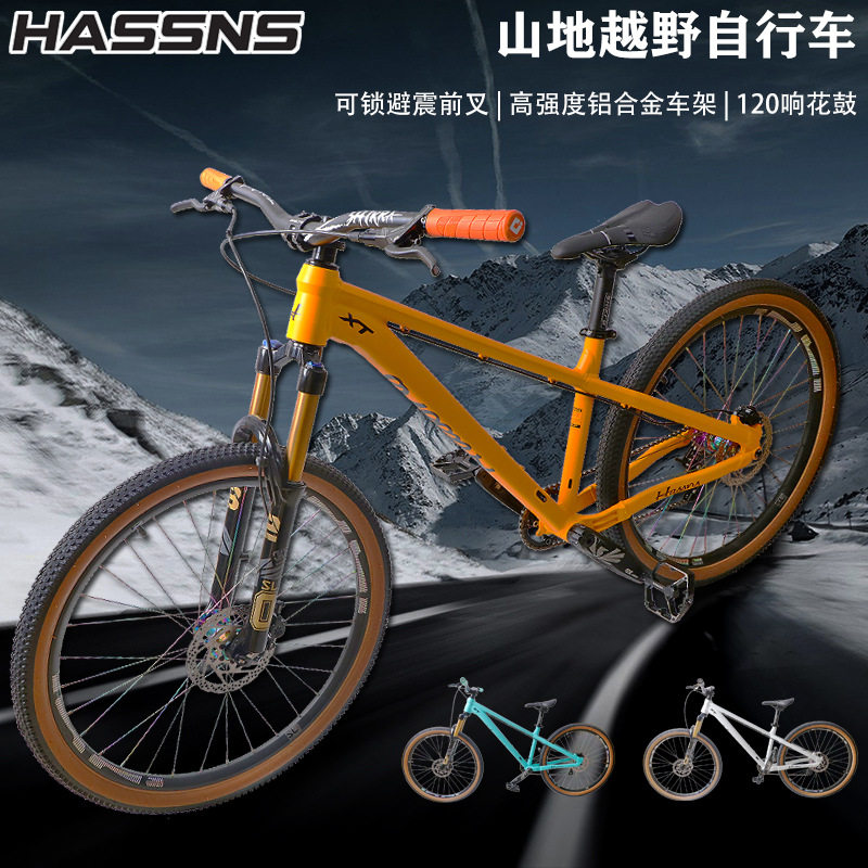 HASSNS土坡车单速整车AM山地自行车越野DIY组装街车碟刹干坠车架
