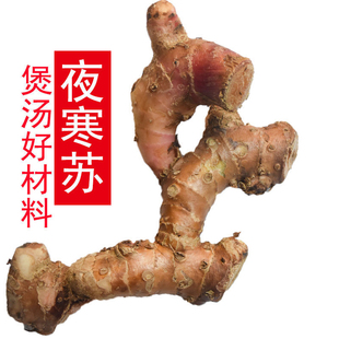野生夜寒苏煲汤食材贵州大姜花草果山姜夜含苏路边姜新鲜大姜