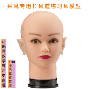 专业采耳工具教学头模型软硅胶学习练手采耳练习直耳道仿真耳孔道