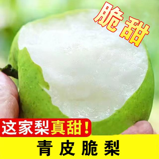 砀山青皮梨蜜梨脆甜无渣汁水新鲜水果梨砀山脆甜梨脆甜多汁皮薄