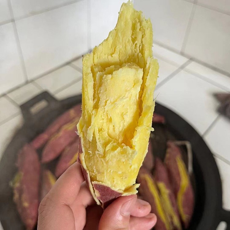 新鲜陕西现挖板栗红薯粉面干香甜番薯9斤烤地瓜粗粮农产品小香薯图片