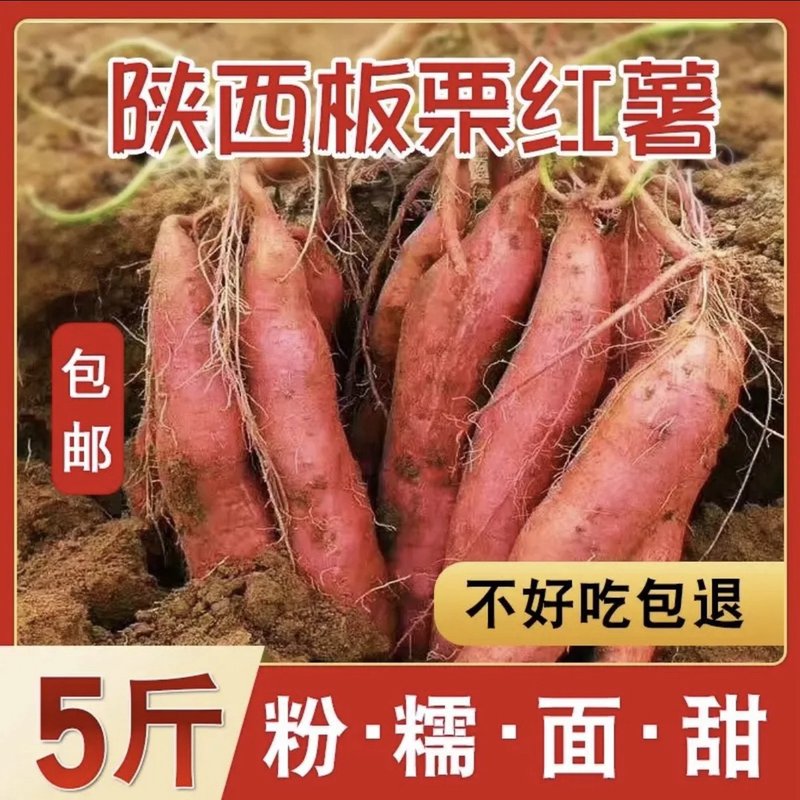正宗陕西板栗红薯沙地现挖包邮干面香甜新鲜番薯地瓜无丝临潼