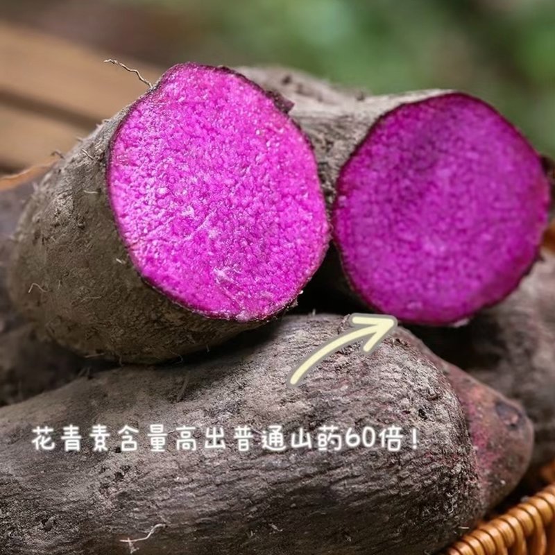 【顺丰】老品种紫山药赣南当季现挖客家人参紫色山药古天根原料