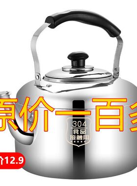 烧水壶球形壶2021新款明火灶大容量5升316食品级炉子上用的全自动