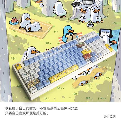 小蓝鸭可爱主题五面热升华适配wooting60he客制化个性机械键盘帽