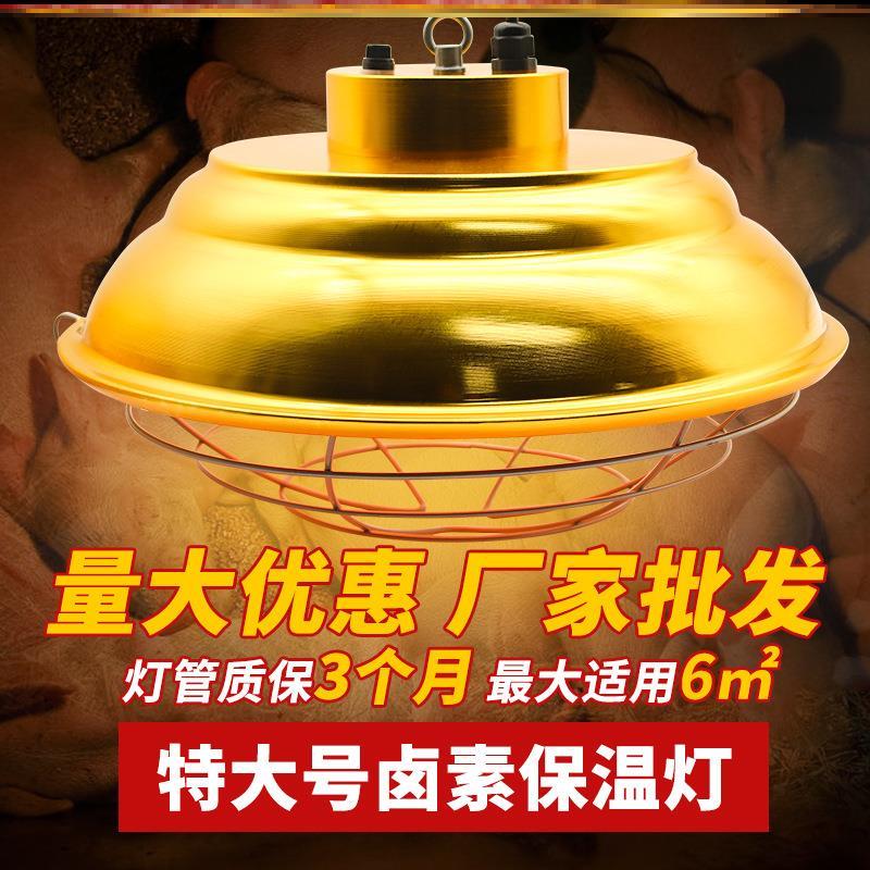 养殖保温灯罩猪场仔猪专用保暖灯兽用宠物小鸡小猪育雏取暖灯猪用