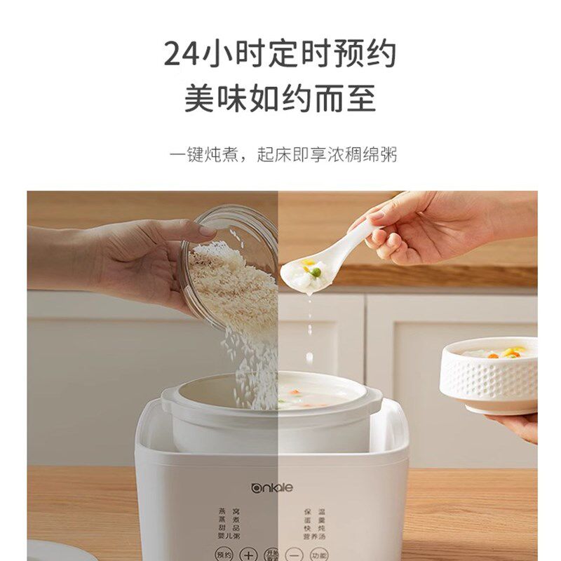 德国电动炖锅防水燕窝陶瓷炖汤家用大容量全自动煮粥锅