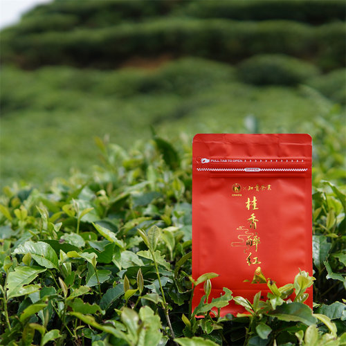 传统红茶桂圆干香/奶茶调饮适用/奶茶店同款|鸳鸯溪