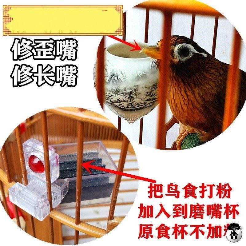 画眉鸟磨嘴器修飞嘴峰钩沙杯磨砂鸟笼配件塑料透明食罐鸟食杯食盒