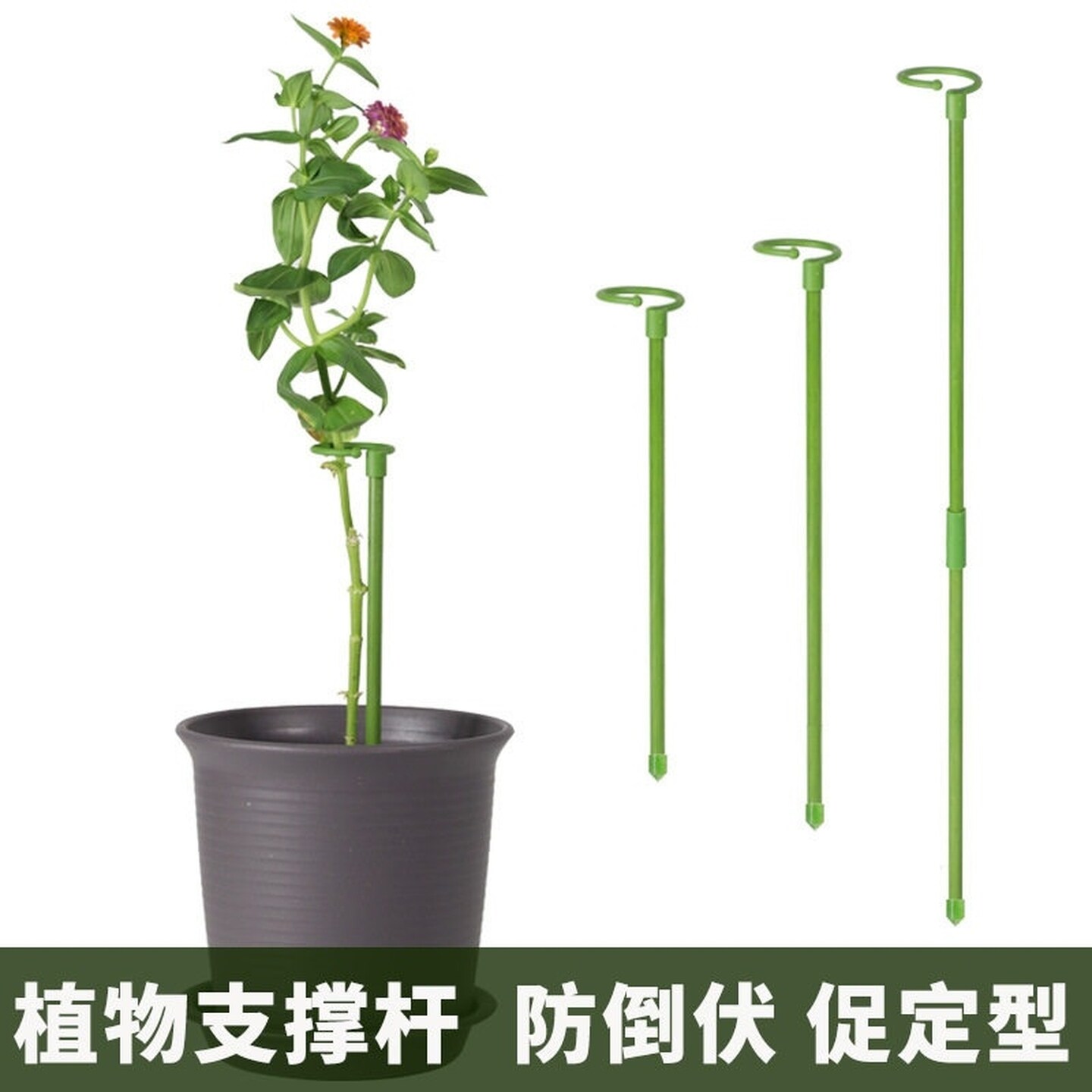 植物防倒伏支架绣球吊兰支撑杆园艺固定架爬藤花卉朱顶红花架绿植