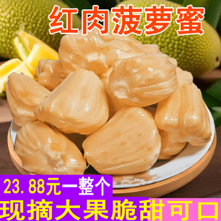 三亚红肉菠萝蜜整个6 越南红肉菠萝蜜新鲜水果 波罗蜜当季 包邮