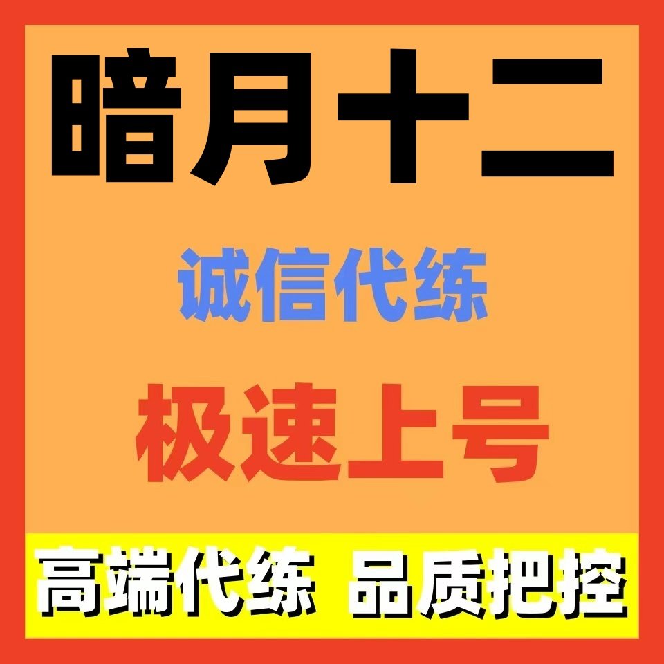 暗月十二代练代打代肝