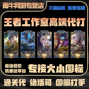 王者荣耀代练陪练工作室打大小国标省标巅峰战力王者代打百星魔方