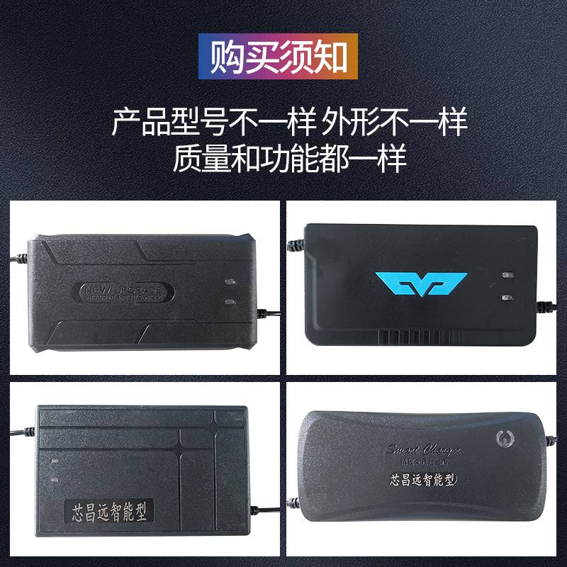 适用祥龙电动车电瓶车充电器48v12ah60v20ah72v0ah64v电车三轮车
