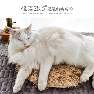 宠物电热毯加热垫恒温防水防抓防漏电狗狗猫咪专用猫用小型取暖器