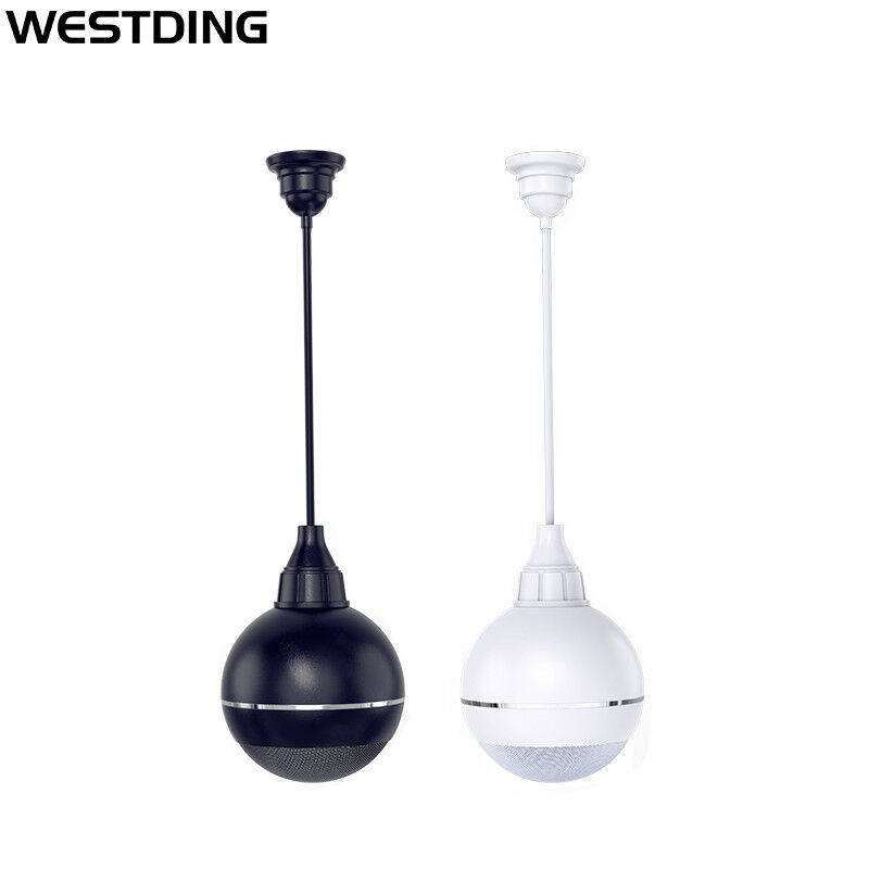 威斯汀WESTDINGB-08同轴吊球吸顶喇叭音响吊顶背景音乐公共广播悬