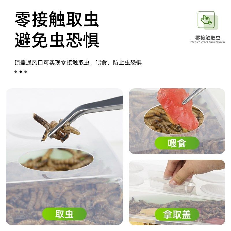 面包虫饲养箱大麦虫筛网九龙虫爬虫活虫养繁殖盒滤屎防臭蟑螂饲料
