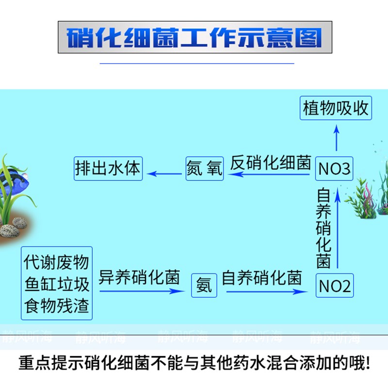 奥芬兰硝化细菌 海水专用硝化菌 海缸观赏鱼生物水族鱼缸净化水质