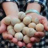 纯樟木球天然防虫防蛀衣柜防潮香樟木条块天然樟脑大号卫生球防霉