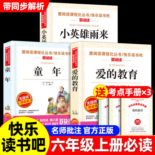 爱的教育小英雄雨来童年全套3册高尔基正版