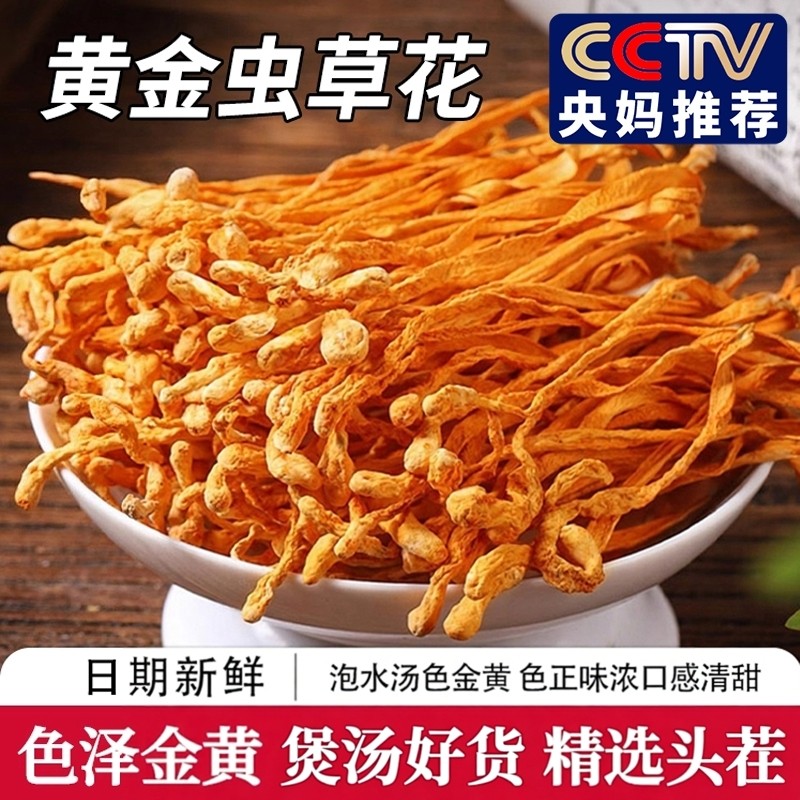 正品虫草花干货官方菇从煲汤孢子头干菌菇材料金商用蛹年货非特级