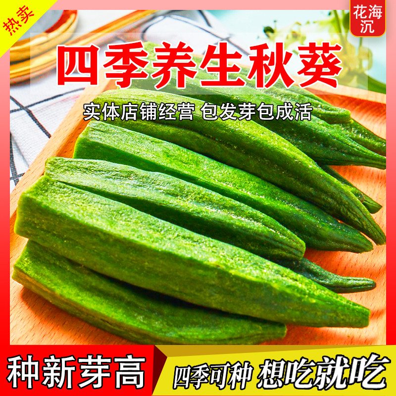 秋葵种子黄绿秋葵种籽四季播高产黄秋葵种籽农家阳台庭院蔬菜种子