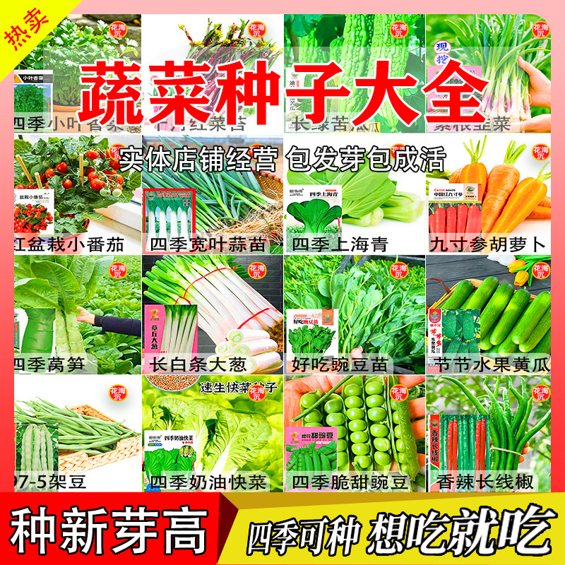 蔬菜种子菜种籽原装四季播原装彩包育种香菜小葱白菜菠菜大全种子