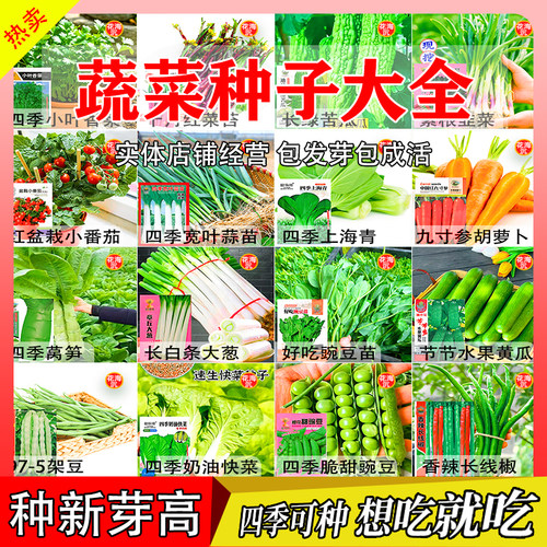 满2件包邮蔬菜种子四季阳台盆栽番茄茼蒿葱萝卜籽孑大全香葱菜籽