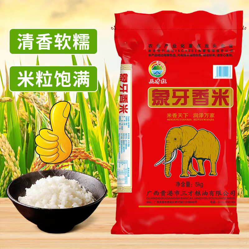 广西象牙香米当季新米包邮10斤装龙须大米长粒香丝苗米猫牙米软糯