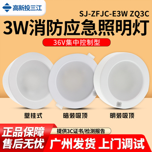 E3W ZFJC ZQ3C集中电源型吸顶嵌顶壁挂应急照明灯具36V 三江