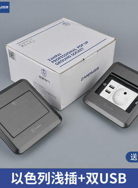 赞牌欧式外贸120型不锈钢灰色中东以色列USB插口地面插座