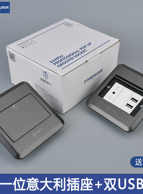 赞牌120型不锈钢灰色隐藏单开门意大利带USB充电插口外贸地面插座