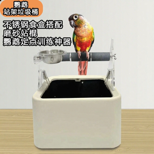 和尚小太阳牡丹玄凤鹦鹉专用垃圾桶站架拉粑站架鹦鹉训练定点排便