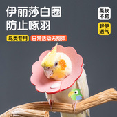 鹦鹉伊丽莎白圈虎皮牡丹大头鸟用防咬圈受伤保护防啄毛防咬毛