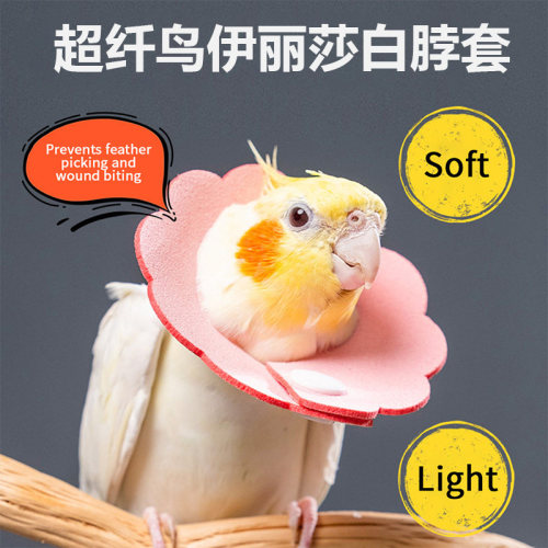 鹦鹉伊丽莎白圈防啄毛防咬毛护理