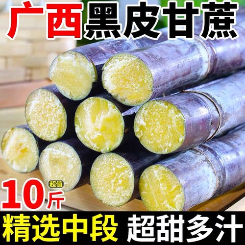 正宗广西黑皮甘蔗精选中段甘蔗新鲜孕妇脆甜水果应当季薄皮糖甘蔗
