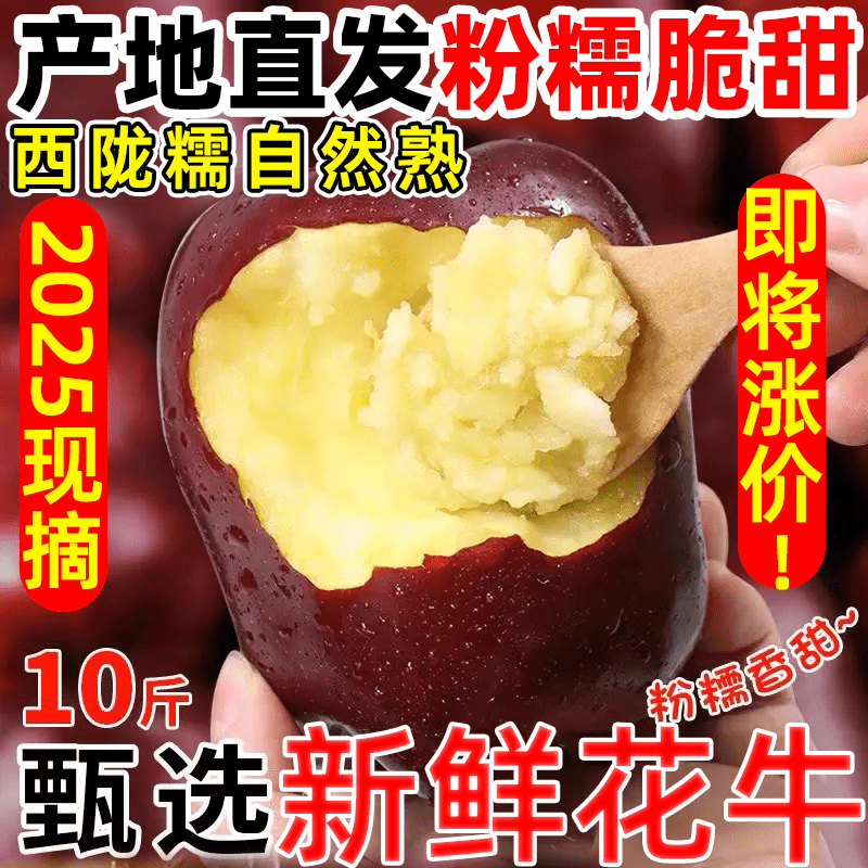 正宗天水花牛苹果10斤苹果新果孕妇宝宝老人辅食粉面大果可选顺丰