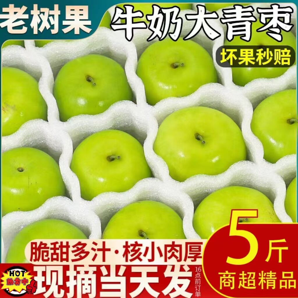 正宗牛奶大青枣新鲜枣子牛奶枣脆甜大枣鲜枣大果当季水果整箱青枣