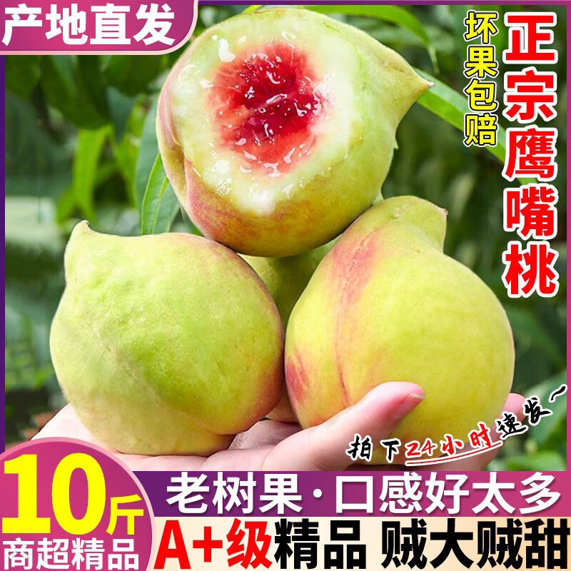 正宗连平鹰嘴桃新鲜桃子脆甜孕妇水果广东河源鹰嘴桃精选装大桃子