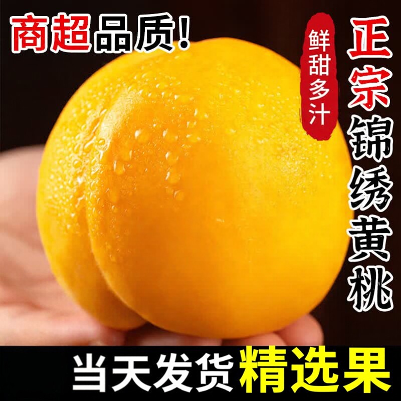 山东蒙阴黄金蜜毛桃黄桃脆桃甜蜜桃新鲜水果整箱现摘脆甜黄金黄桃