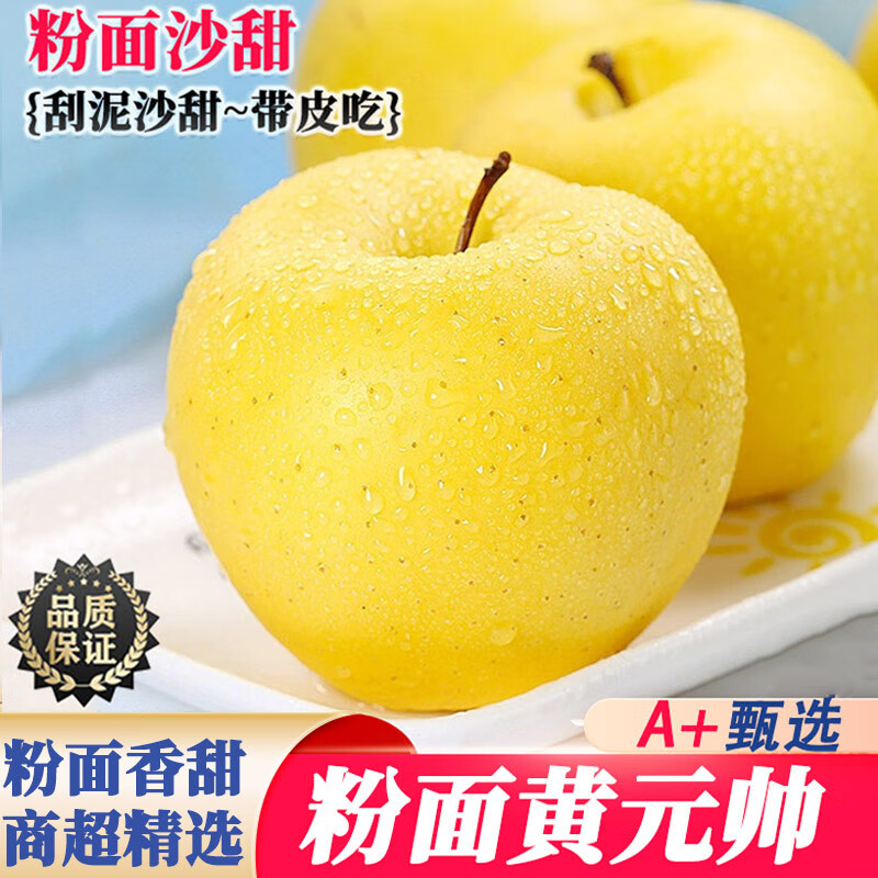 正宗黄元帅苹果新鲜苹果10斤粉面刮泥软糯黄金帅苹果烟台金粉苹果