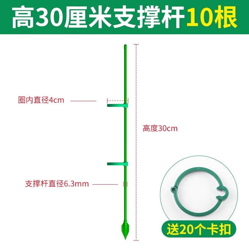 秋海棠支撑杆鳟鱼专用植物支撑杆支架造型花支架固定器花架造型图片