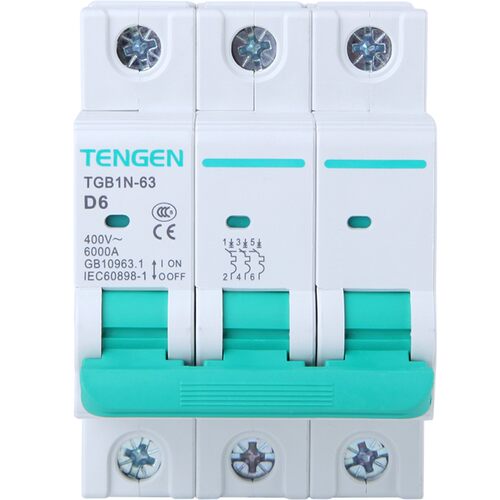 天正 D型空气开关TGB1N-63电动机用2P单相3P三相380V动力型断路器