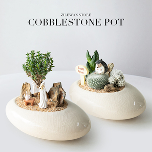 多肉植物组合盆栽仙人球肉肉花卉办公室桌面盆景创意趣味礼物送礼