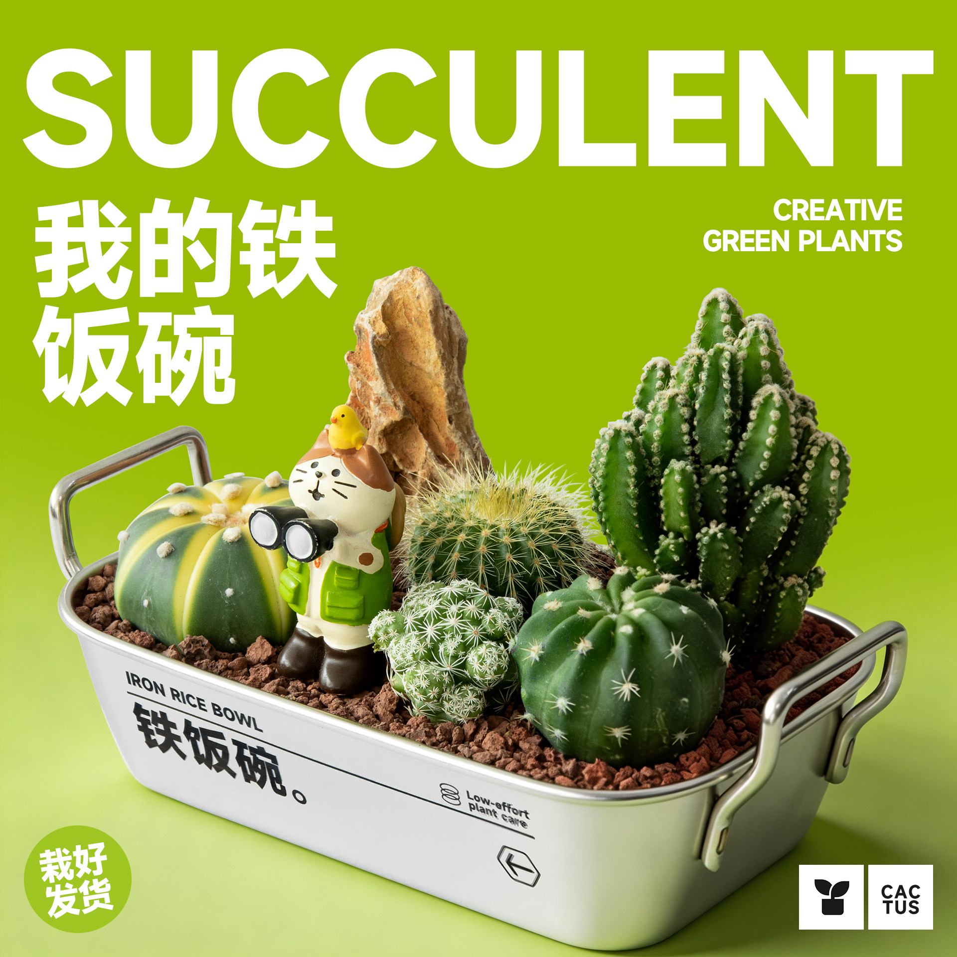 【我的铁饭碗】创意情绪多肉植物室内盆栽桌面趣味摆件生日礼物
