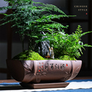 文竹小盆栽新中式 禅意茶室微景观盆景室内办公室花卉绿植好养植物